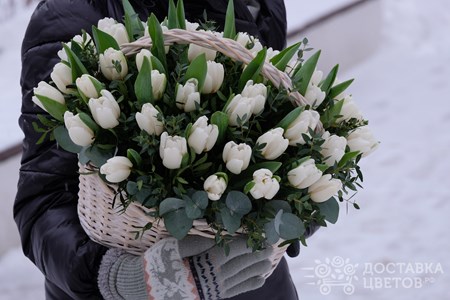 Корзина белых тюльпанов